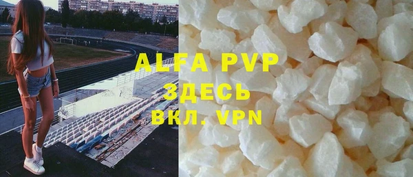 apvp Вяземский